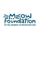 MEOW Foundation